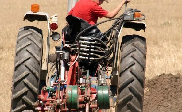 Bruce County IPM organizers put call out for logo, slogan, volunteers