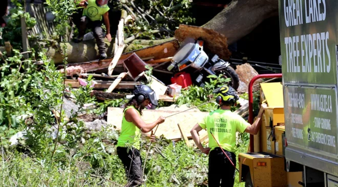 Clean up effort continues Friday after severe storm and 100 km/h winds topple trees