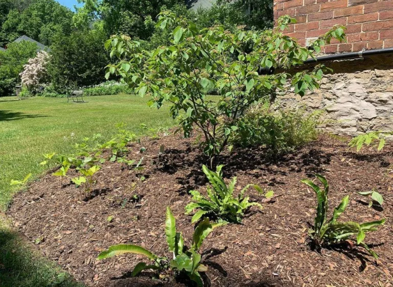 Gardener in Residence program starting up at Owen Sound library