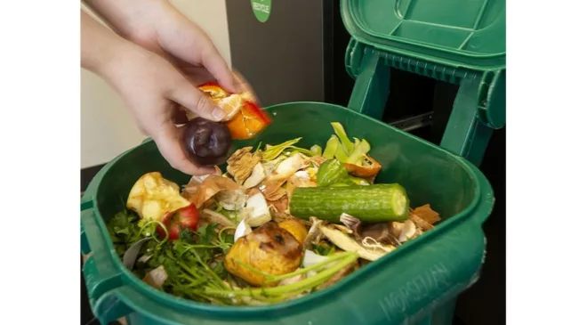 Green bins get a green light in Owen Sound