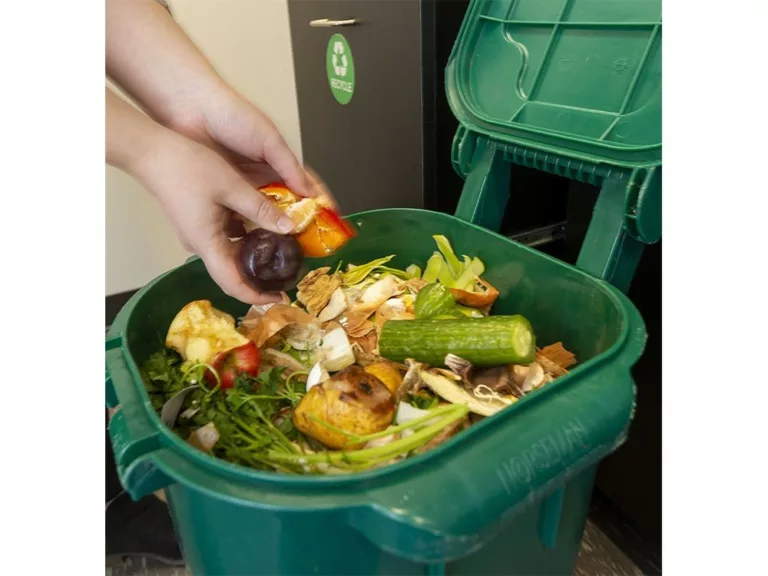 Green bins get a green light in Owen Sound