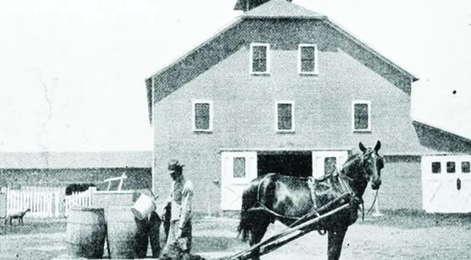 Hog production a century ago was dramatically different than today