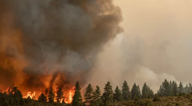 Why you need a grab-and-go emergency kit this wildfire season