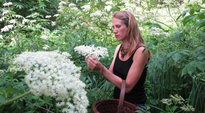 Foraged Flavors of the Sun: High Summer Wild Herbs and Plants | Great Lakes Now