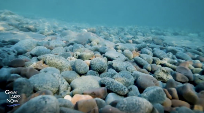 Great Lakes Learning: Bringing back buffalo reef | Great Lakes Now