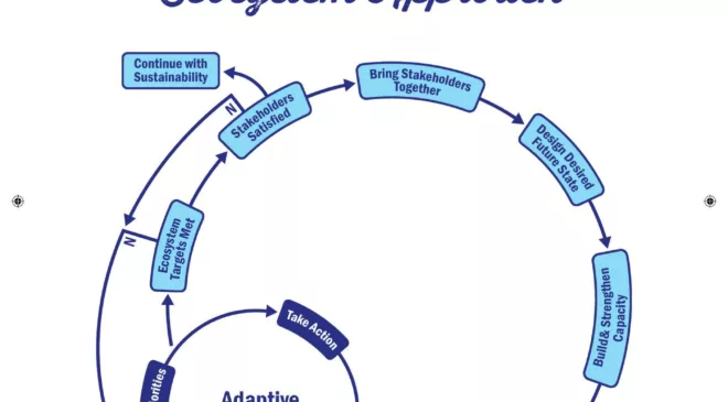 Great Lakes Moment: An ecosystem approach | Great Lakes Now