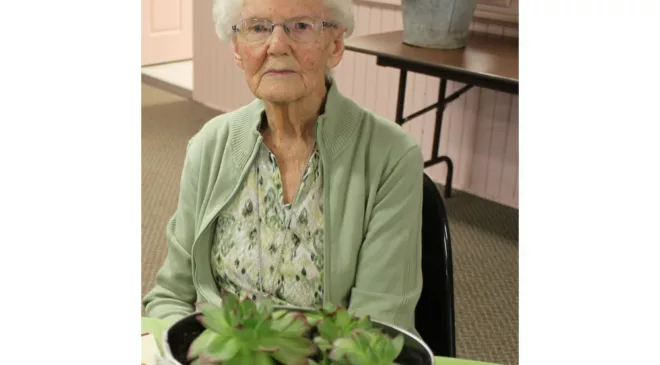 Lucknow Horticultural Society hosts annual flower show 