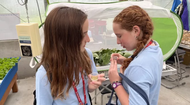 Raising monarch butterflies in Interlochen | Great Lakes Now