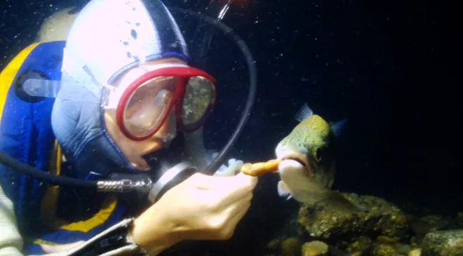 I Speak for the Fish: Hand-feeding a rainbow trout is fun, but is it ethical? | Great Lakes Now