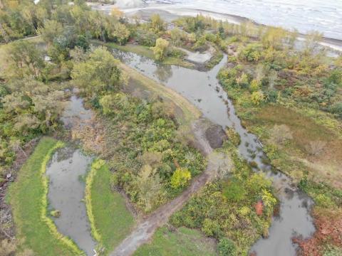 Wetland enhancement and water quality improvements at Woodlawn Beach State Park