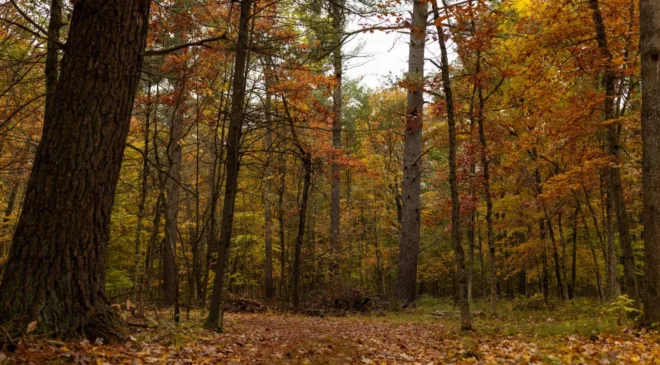 Points North: A Natural Ending | Great Lakes Now