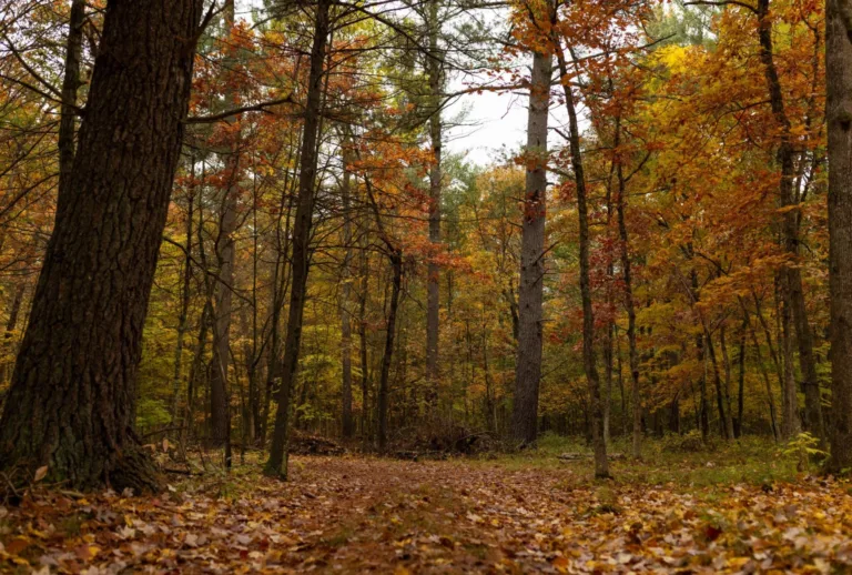 Points North: A Natural Ending | Great Lakes Now