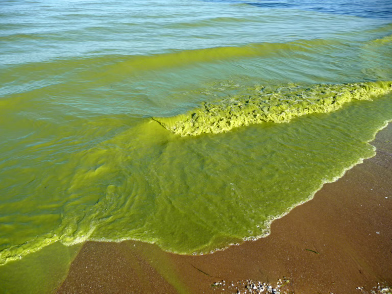Toledo to build new raw water main that will supply 500,000 customers with treated water from Lake Erie
