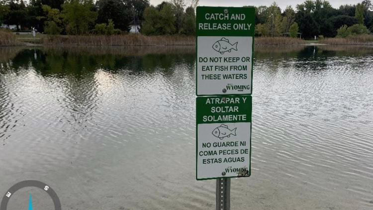 Harmful chemicals found in Kent County lakes. Where you should avoid eating fish Harmful chemicals found in Kent County lakes. Where you should avoid eating fish