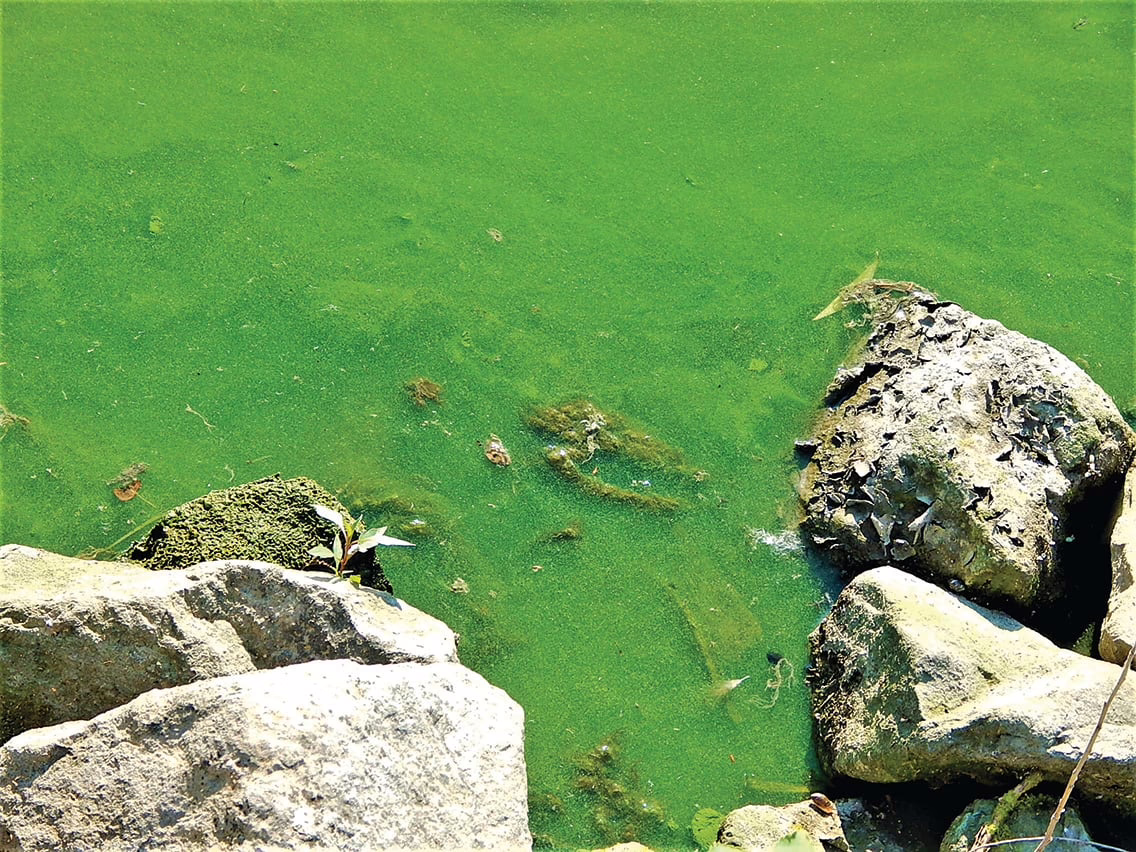  million dedicated to algal research in Ohio