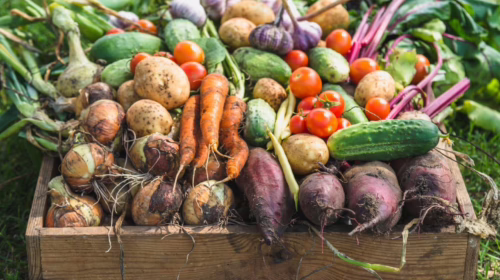 LFP Letters to the Editor: January 22, 2026