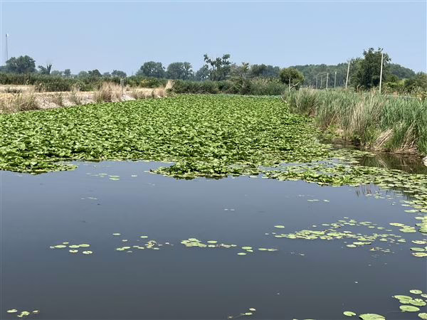 H2Ohio likely to continue with whomever is elected Ohio's next governor