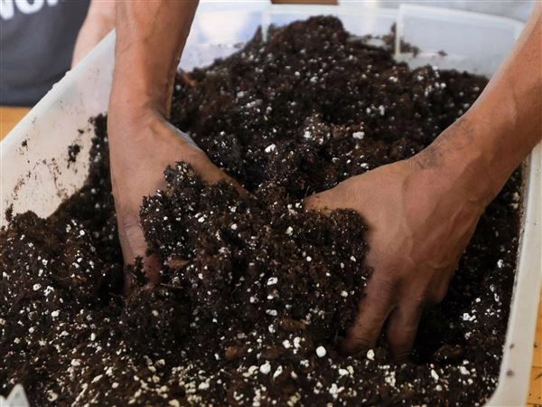 Poster contest for conservation district open to K-12 students