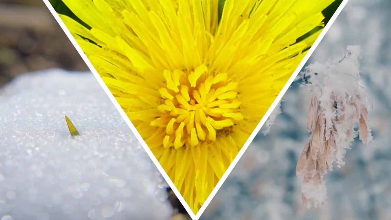 Climate experts say spring is coming earlier. How will that affect agriculture and ecosystems?