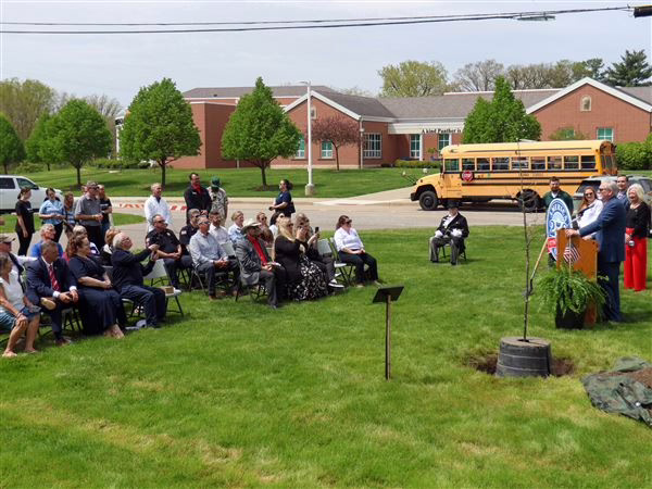Oak tree planted in Sylvania commemorates America’s 250th anniversary