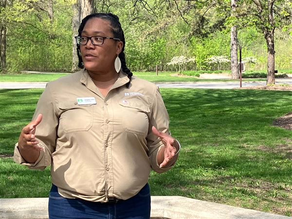 Portion of Pearson Metropark is designated old-growth forest on Arbor Day
