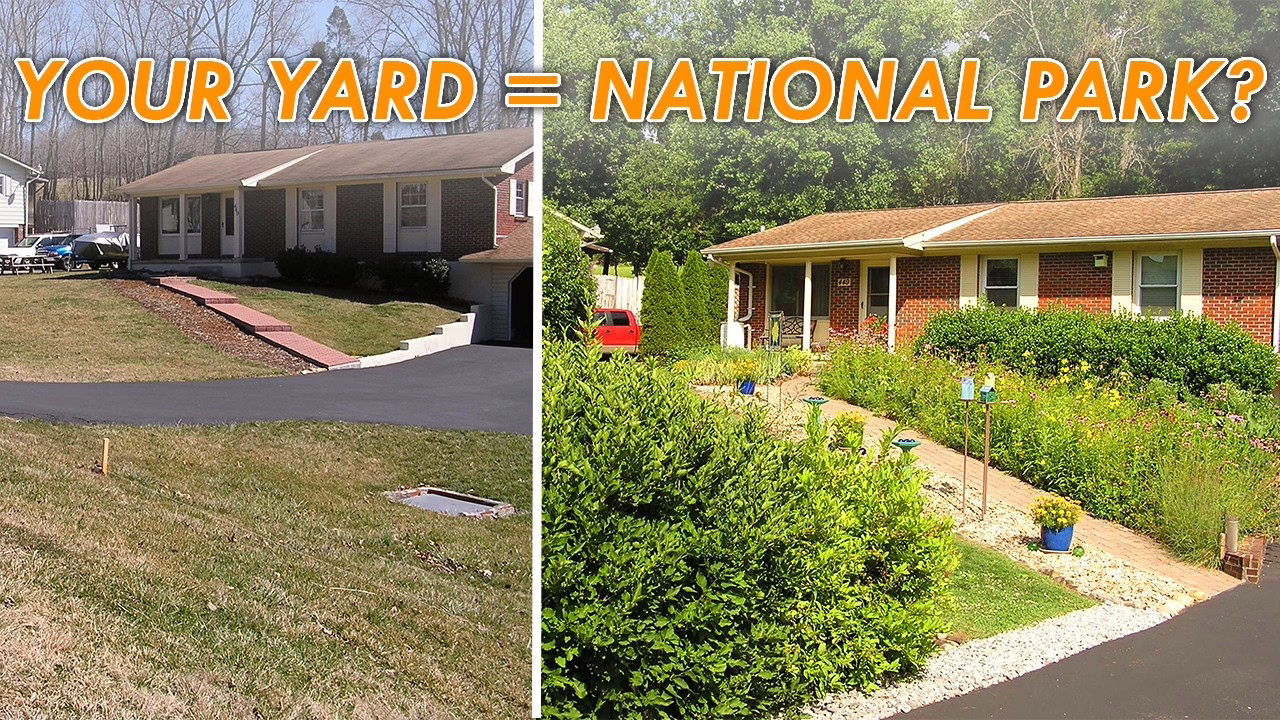 Rewilding, a new way to heal the land this Earth Day