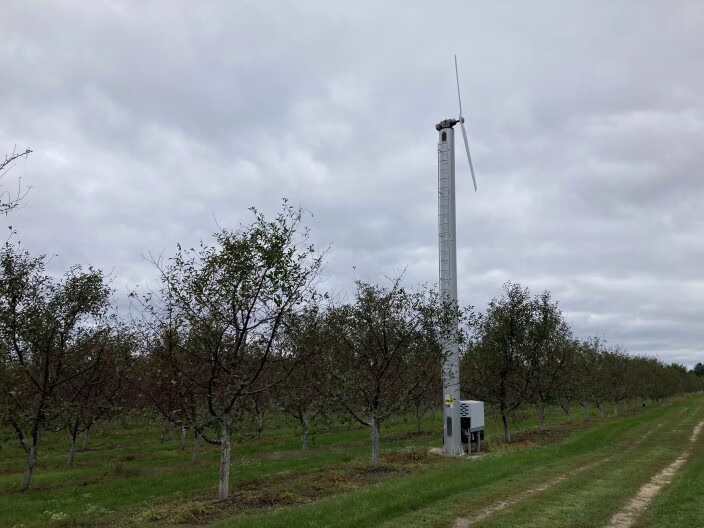 Cold, rainy spring threatens Michigan’s cherry crop