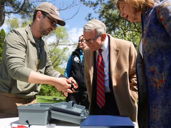 Gov. DeWine and first lady see the power of tiny birds unite people