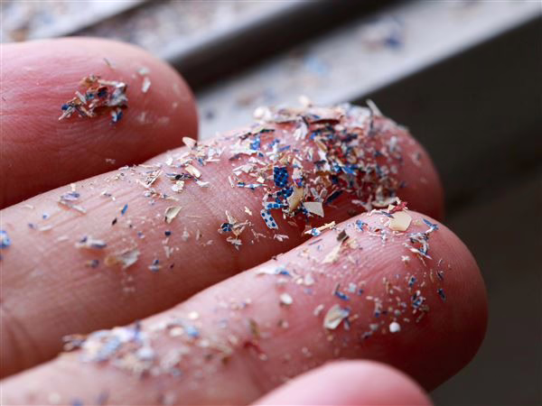 Microplastics and algal blooms threaten double-whammy of trouble for Lake Erie