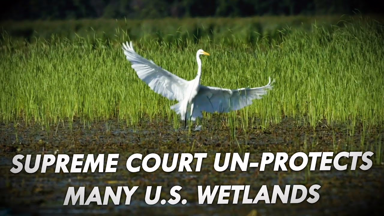 Former EPA adviser claims agency violated whistleblower protections after petition criticism