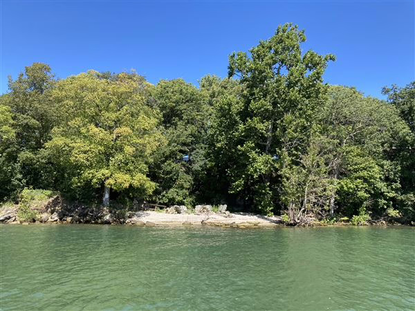 Scientists urge more intensive study of algal blooms worldwide
