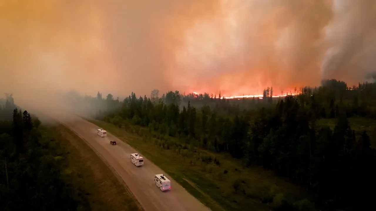 How wildfire smoke impacts pets and wildlife