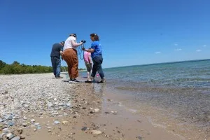 Can you find Petoskey stones outside of Petoskey?